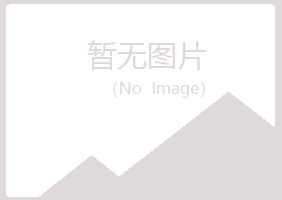 龙岩夏岚能源有限公司